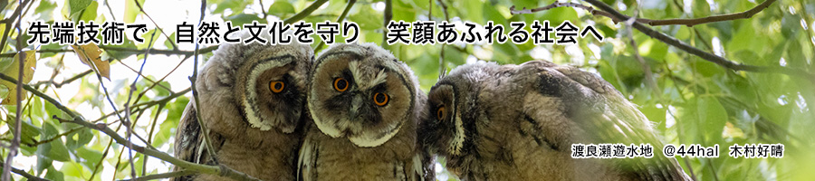 クラッシュパイラー、サイレントパイラーによる工事なら！渡辺アーステック株式会社