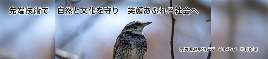 クラッシュパイラー、サイレントパイラーによる工事なら！渡辺アーステック株式会社